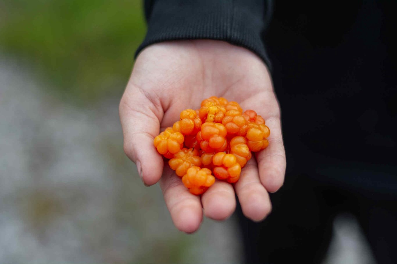 Dundret, Gällivare över molnen